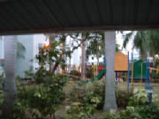 garden.jpg